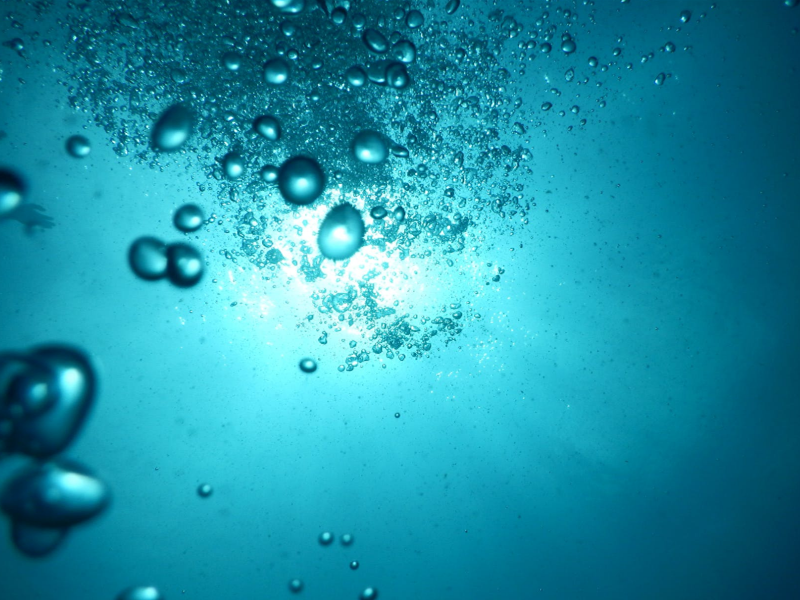 氨氮 总氮
