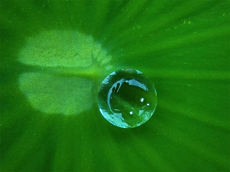 水质检测