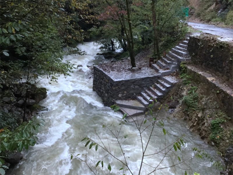 地表水环境质量检测结果