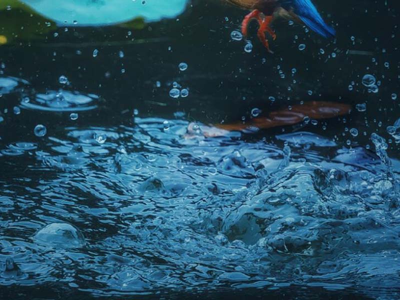 水质COD分析仪使用技巧
