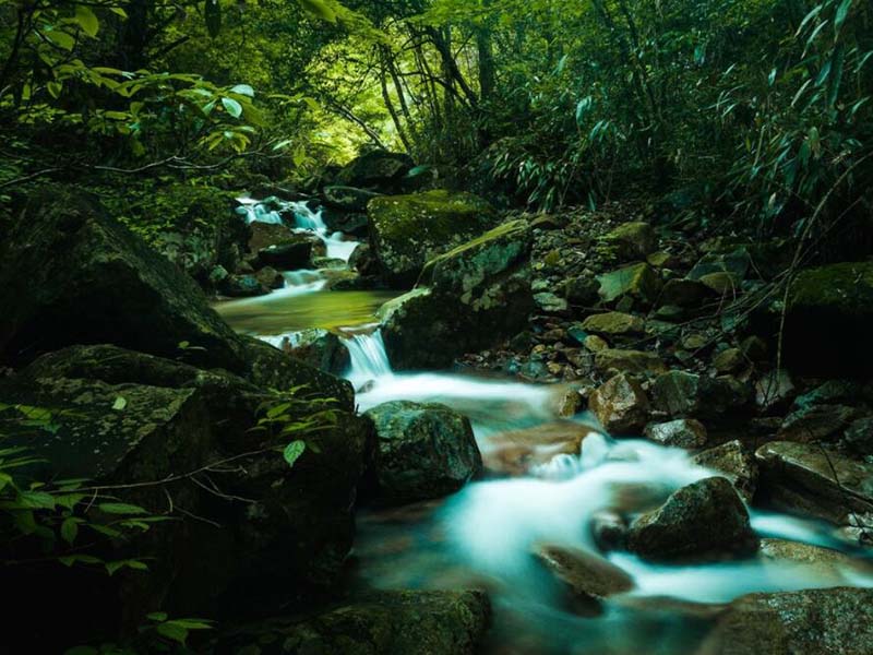 水质生物毒性检测方法有哪些