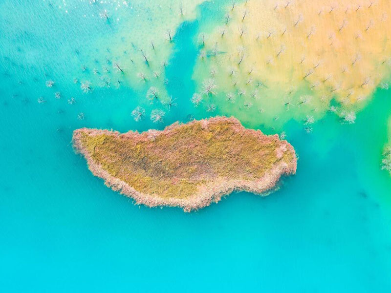 总磷在线监测中存在的问题