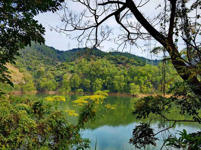 江苏吴江4条河道水质问题突出