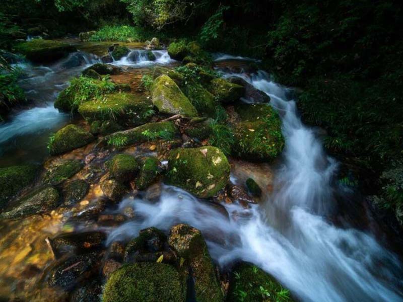 水质总磷检测标准是多少（水质总磷超标的原因分析）