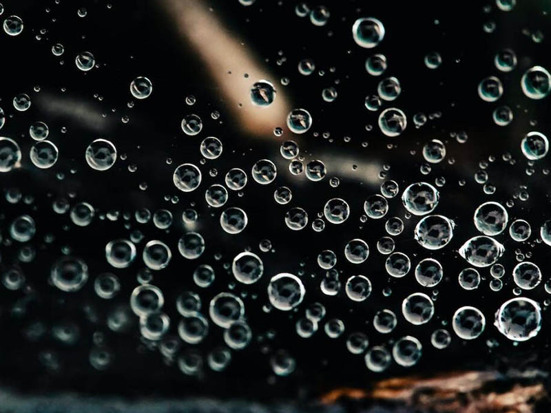 水质大肠杆菌检测仪价格