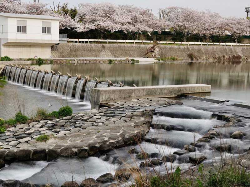 总磷检测需要哪些仪器
