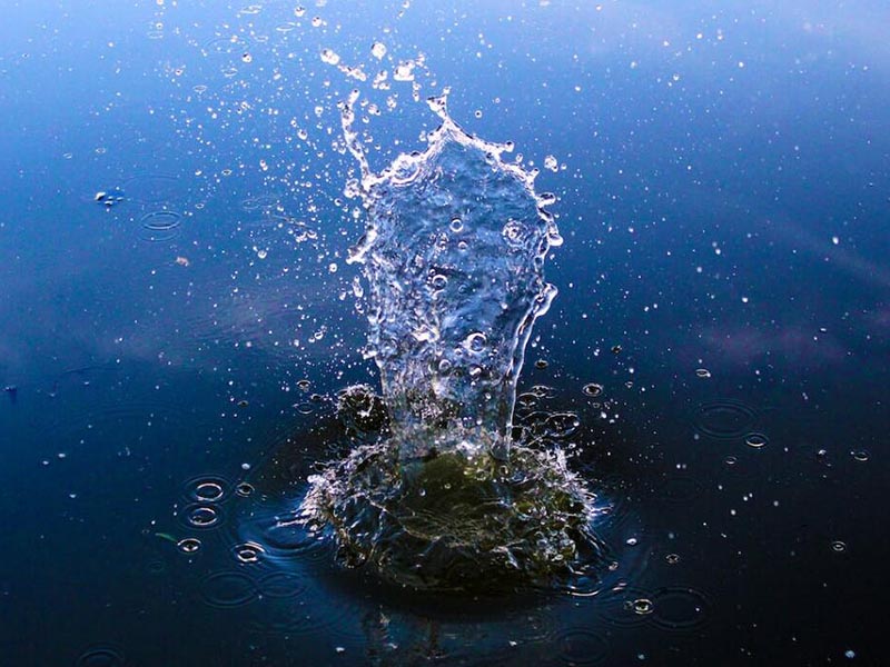 水质检测空白样是什么