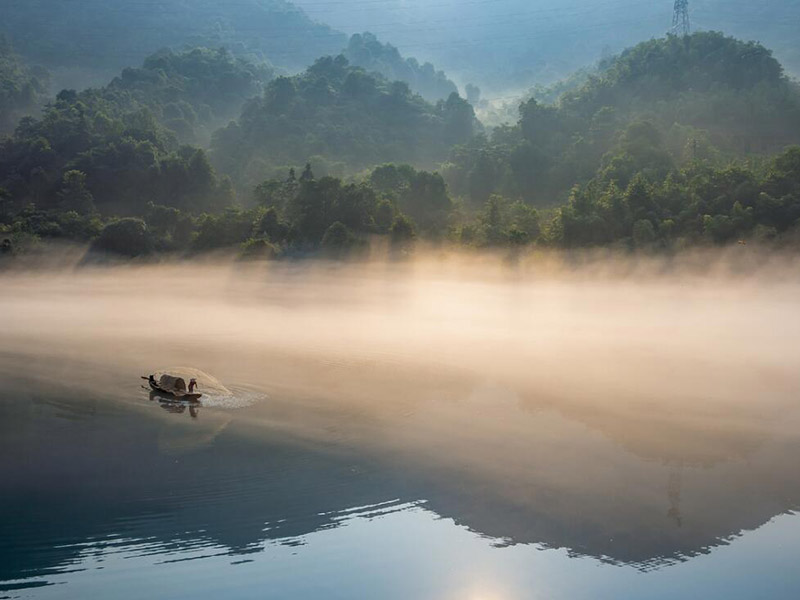 动植物油石油含量检测仪怎么用
