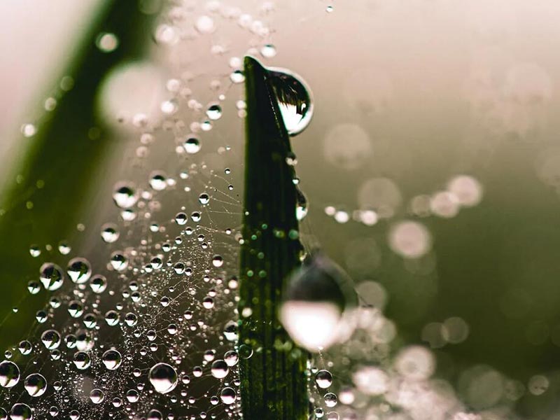 水质TOC的检测标准