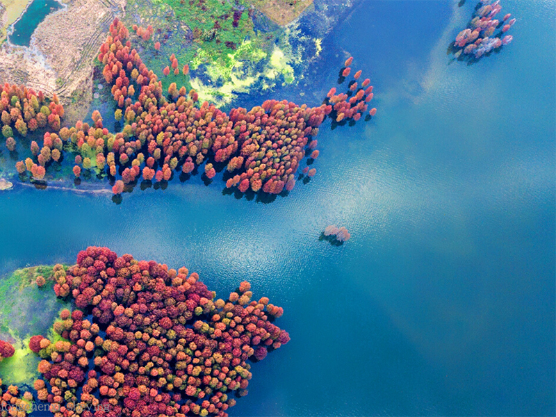 污水处理中为什么要检测溶解氧含量