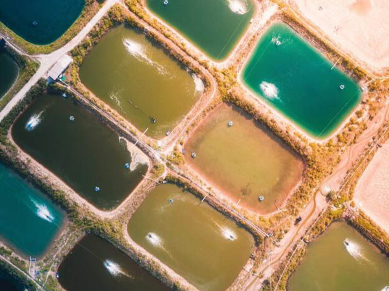 污水处理站COD在线监测仪选择要求