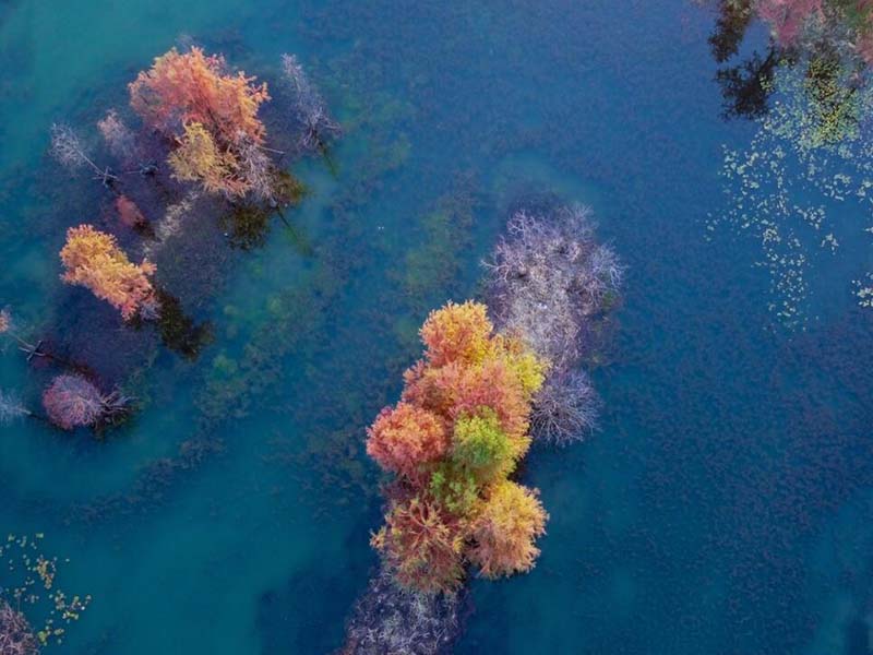 生化需氧量BOD测定的目地