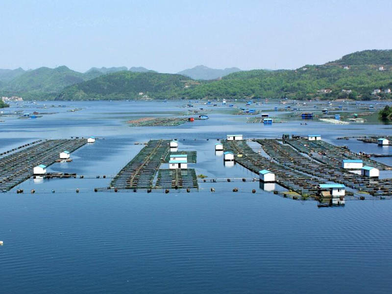 总磷在线监测仪使用方法