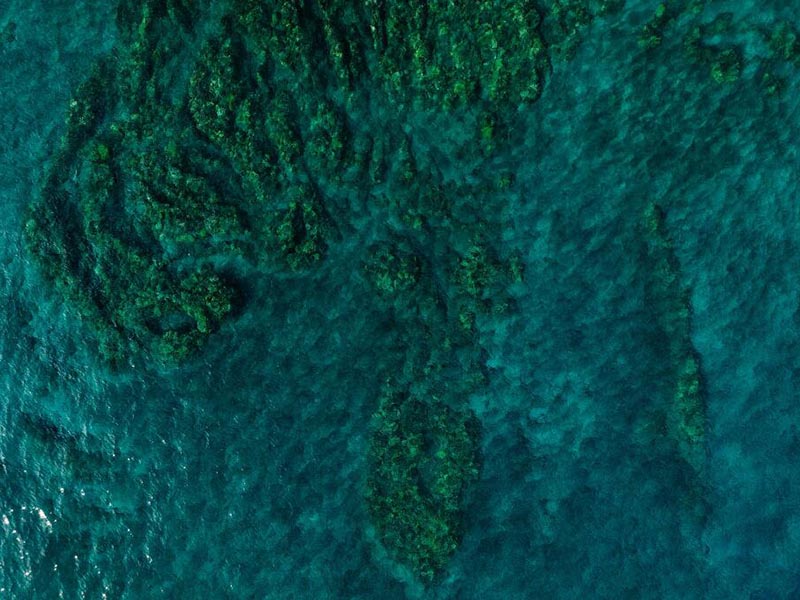 水质COD检测方法