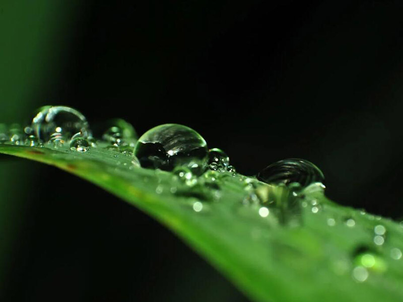 消毒剂臭氧浓度的检测方法