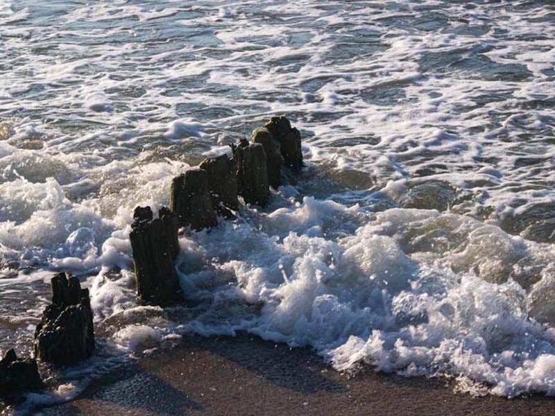 水质镍检测仪测定原理标准