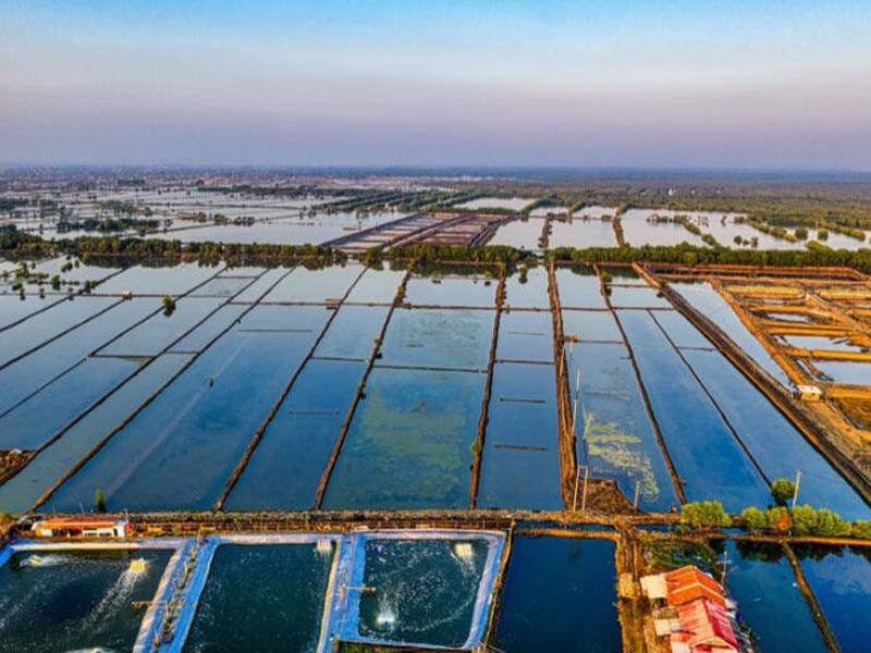 水产养殖关键水质指标