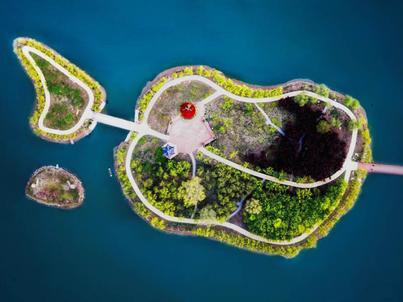 水质生物毒性检测应用场景