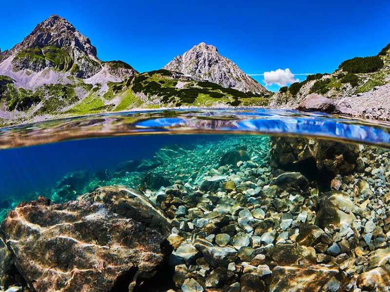 【汇总】水质生物毒性检测方法原理介绍