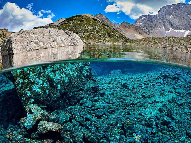 水质生物毒性分析仪检测步骤（水质生物毒性分析仪结果分级标准）