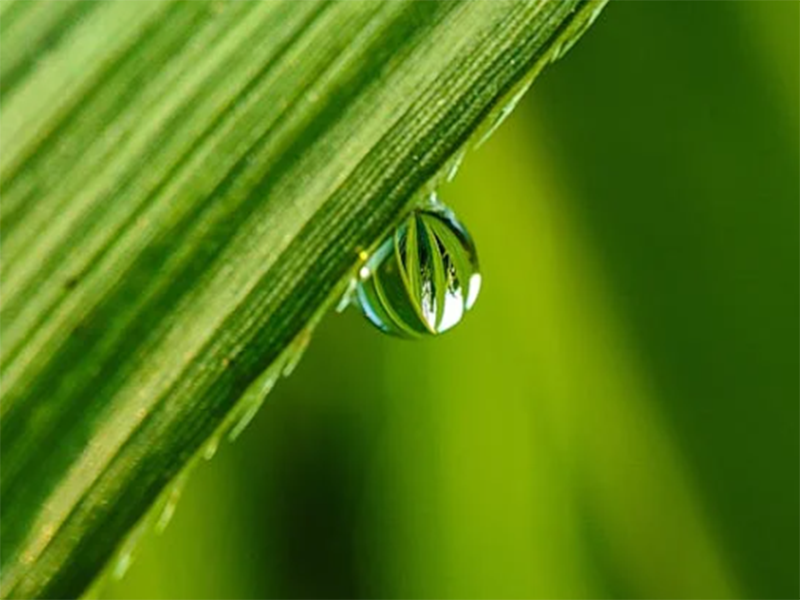 水质检测仪操作规范