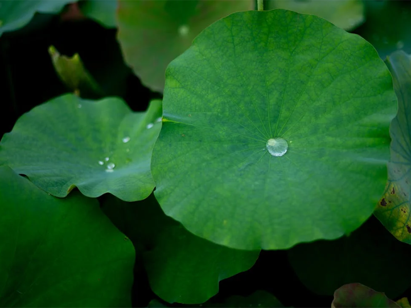 水质溶解氧具体数值范围