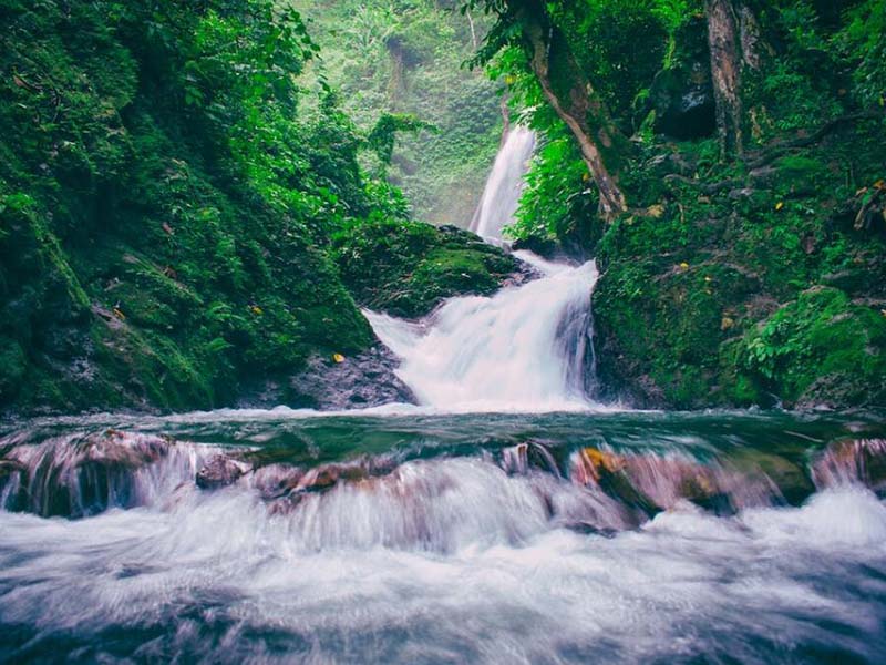 氨氮超标的危害（氨氮实验室与现场快速检测方法）