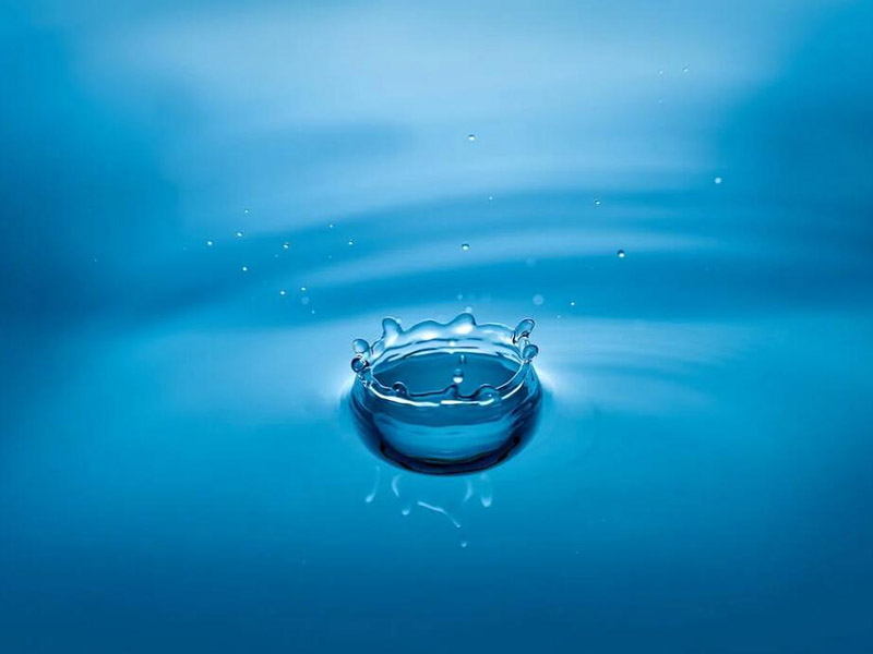 水中钒元素的功能与风险