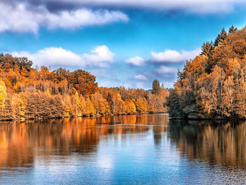 COD与BOD分别是什么