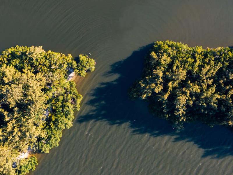 化学需氧量COD和高锰酸盐指数CODMn区别（COD与CODMn的测定）