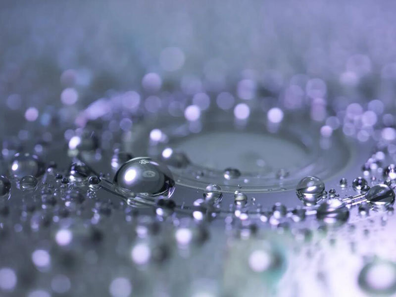 制药用水中微生物的来源（水质微生物的类群解析）