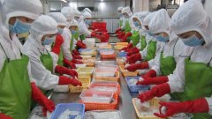 水产品及加工制品药残快速检测方案