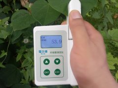 叶绿素含量测定仪，为合理施肥提供科学依据
