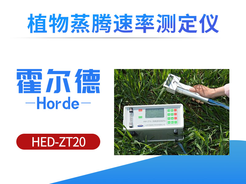 植物的蒸腾速率会影响植物生长吗