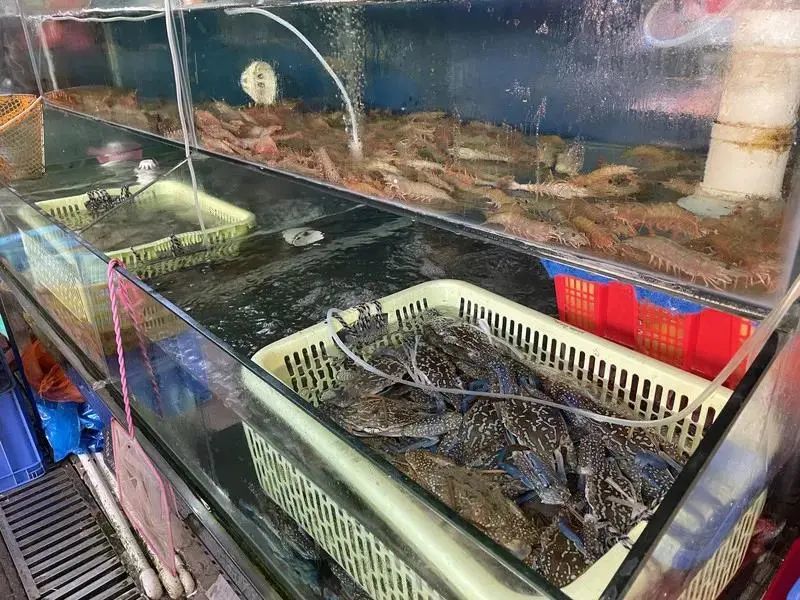 鱼虾兽药残留检测系统可以检测什么