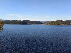 生物毒性检测仪，为水质安全保驾护航