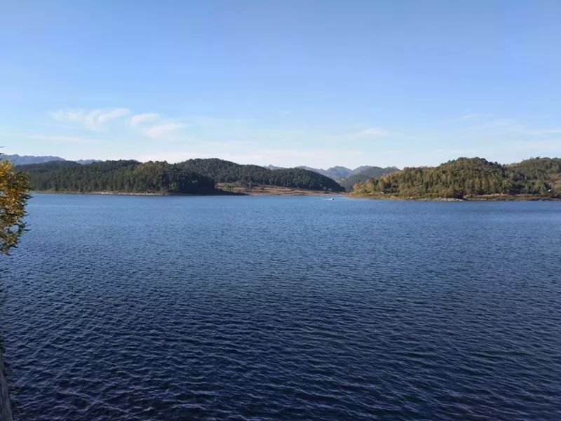 生物毒性检测仪，为水质安全保驾护航